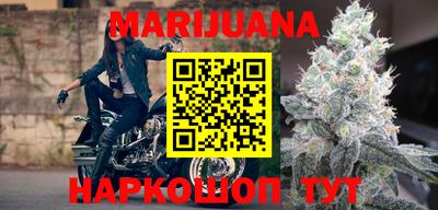 гидра Кандалакша