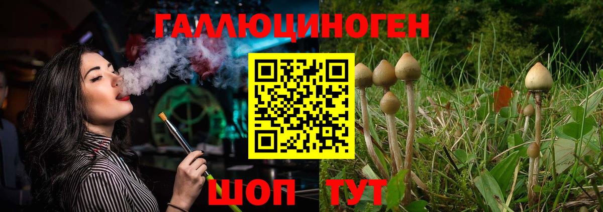 Дагестанские Огни  Псилоцибиновые грибы прущие грибы  Галлюциногенные грибы Magic Shrooms  Вход с VPN 