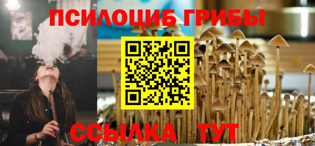 Галлюциногенные грибы Magic Shrooms Дагестанские Огни